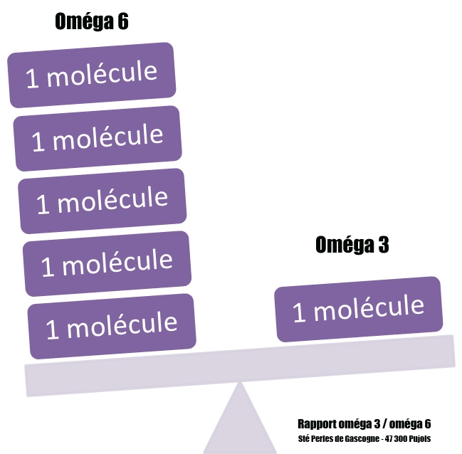 Tableau représentant le ratio omega 3 omega recommande par l' Anses